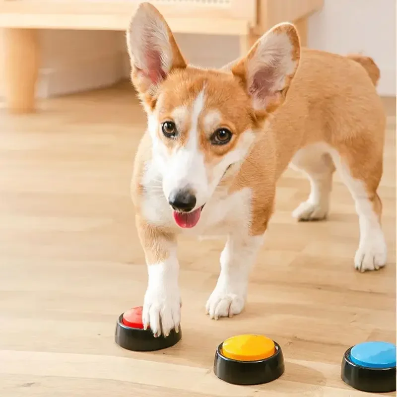 Caja de sonido para mascotas,  - Event Party Box reseña y precio